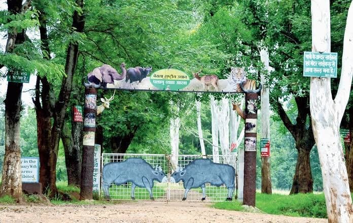 Betla National Park